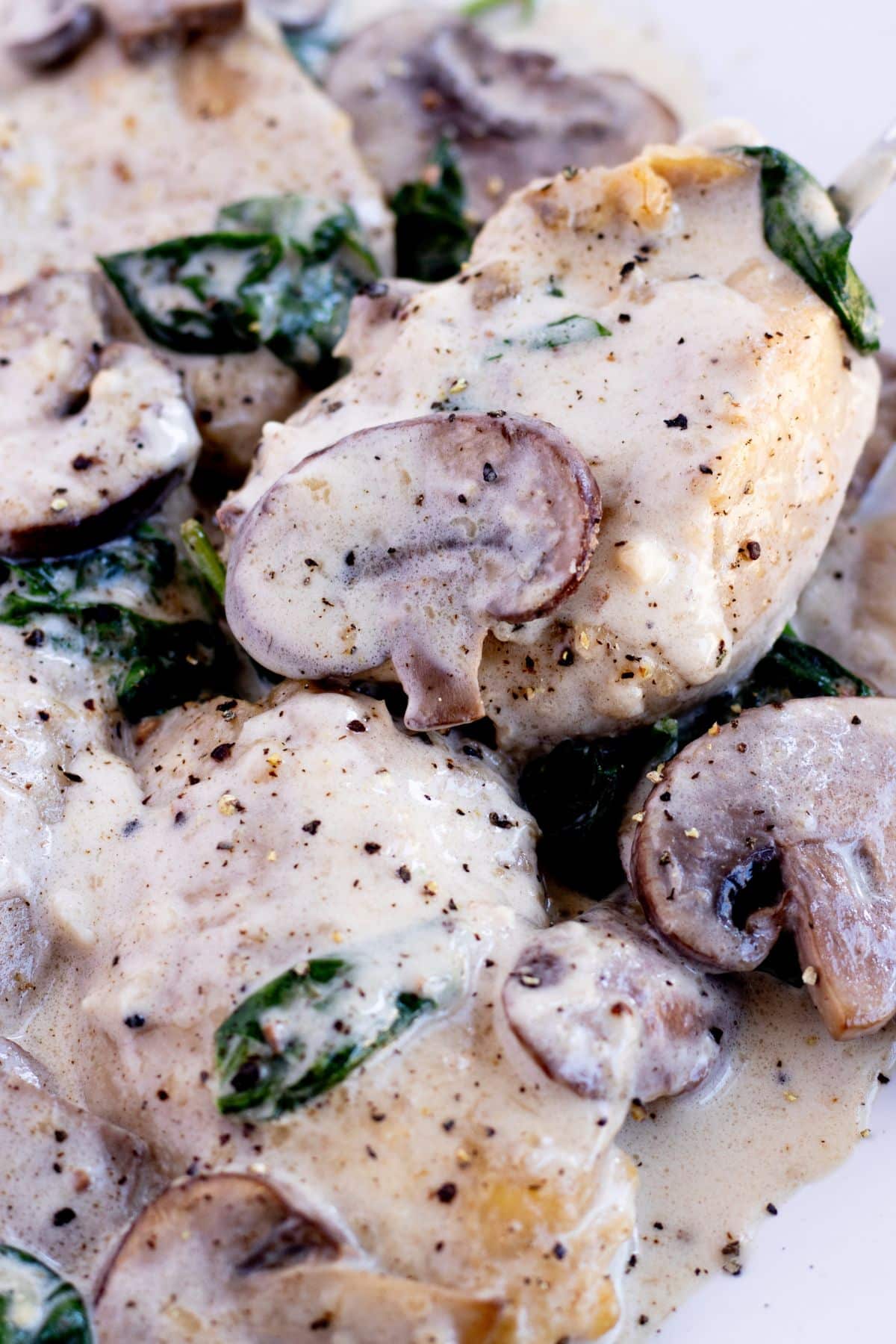 creamy chicken with mushroom, parmesan and spinach on a plate