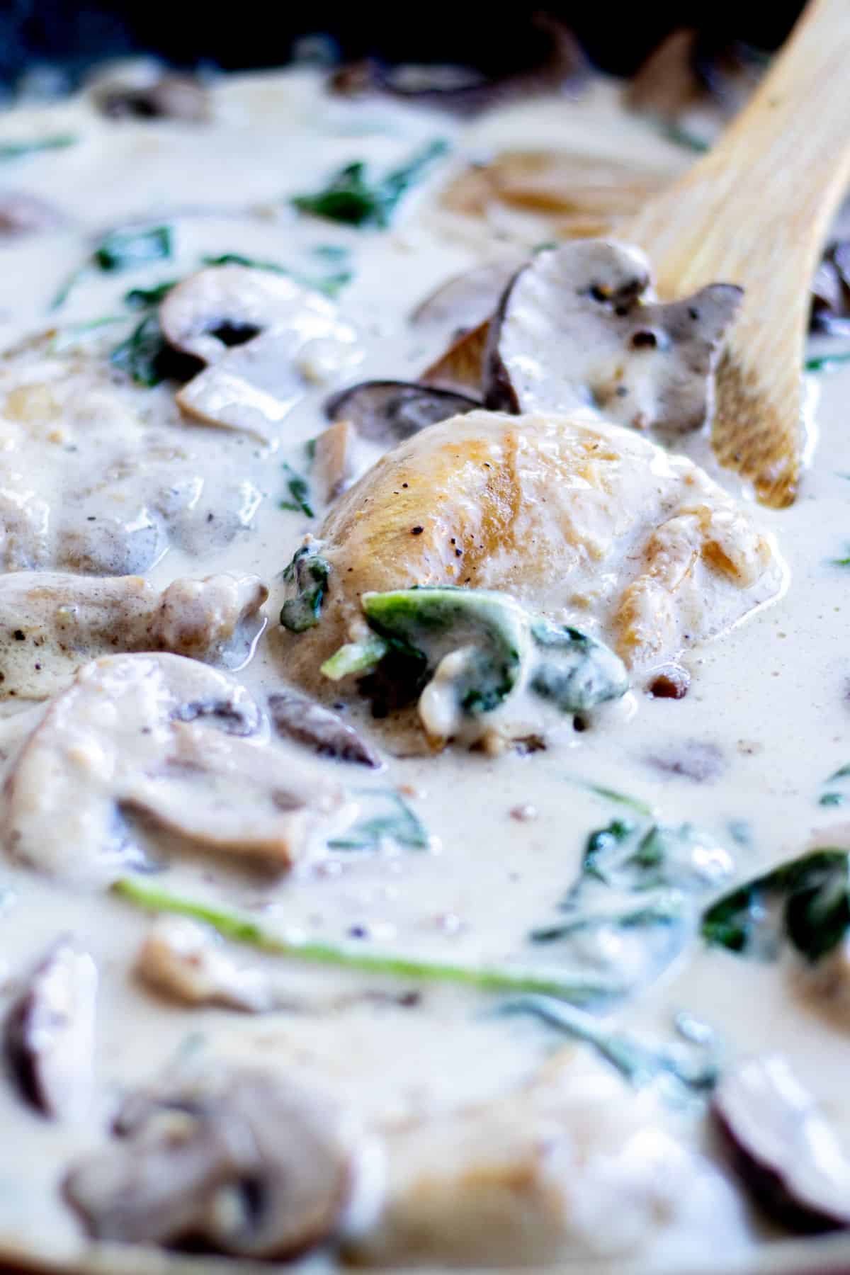 creamy chicken mushroom with spinach