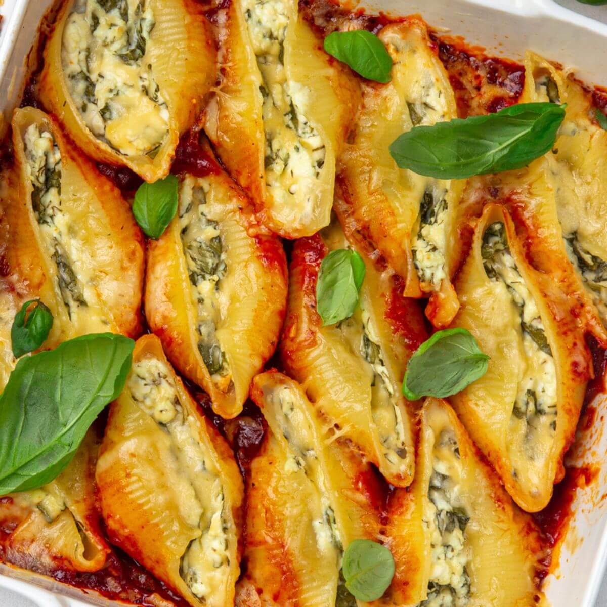 jumbo pasta stuffed shells up close