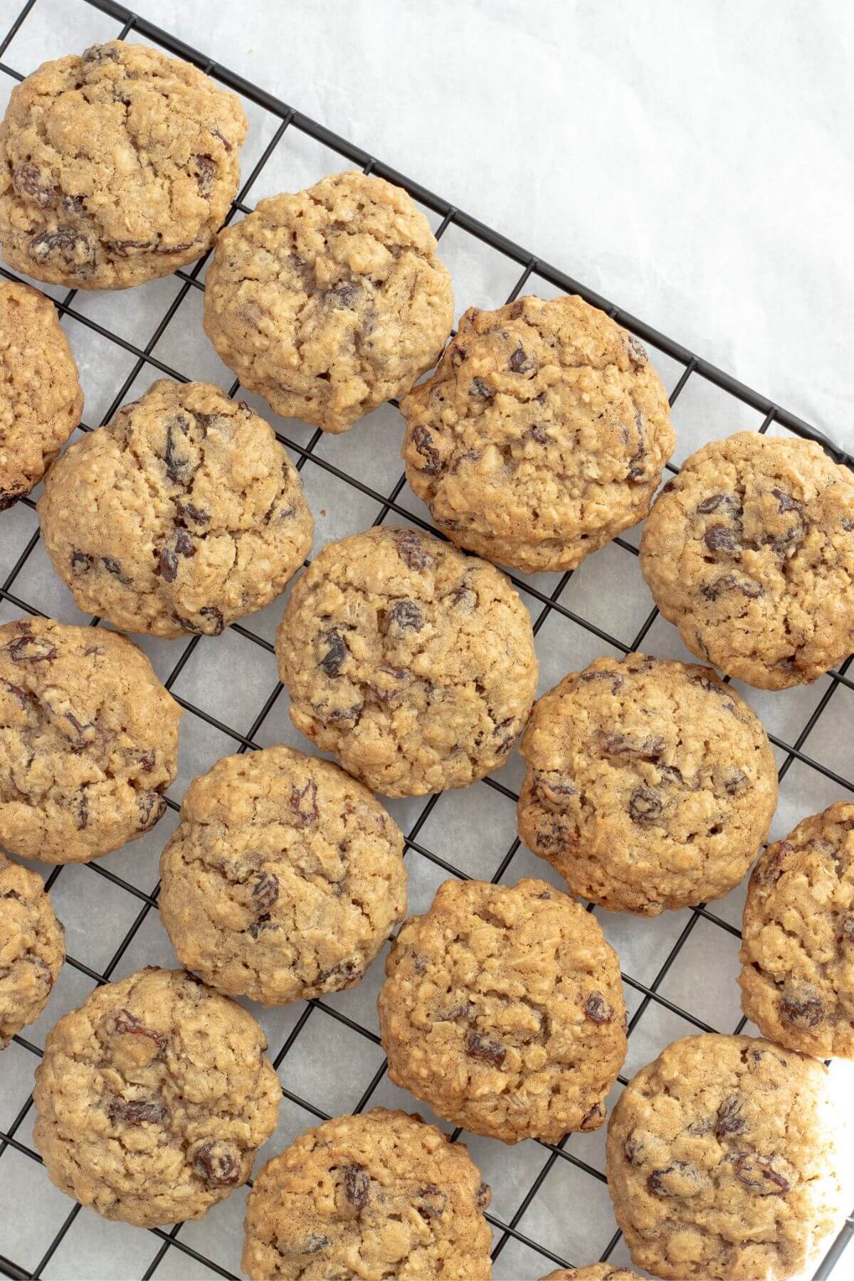 oatmeal raisin cookies